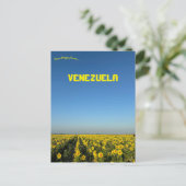 Zonnebloemen in Turen Portuguesa Venezuela Briefkaart (Staand voorkant)