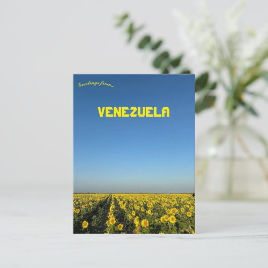 Zonnebloemen in Turen Portuguesa Venezuela Briefkaart (Staand voorkant)