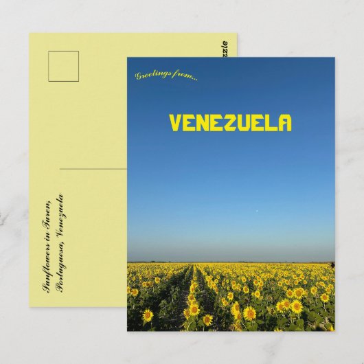 Zonnebloemen in Turen Portuguesa Venezuela Briefkaart (Voorkant / Achterkant)