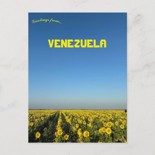 Zonnebloemen in Turen Portuguesa Venezuela Briefkaart (Voorkant)
