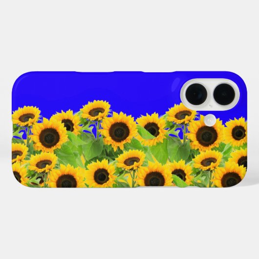 Zonnebloemen iPhone Case (Achterkant (horizontaal))