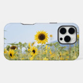 Zonnebloemen iPhone hoesje (Achterkant horizontaal)