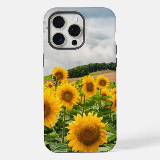 Zonnebloemen iPhone Hoesje (Achterkant)