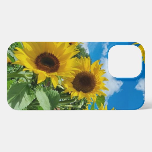 Zonnebloemen iPhone Hoesje (Achterkant horizontaal)