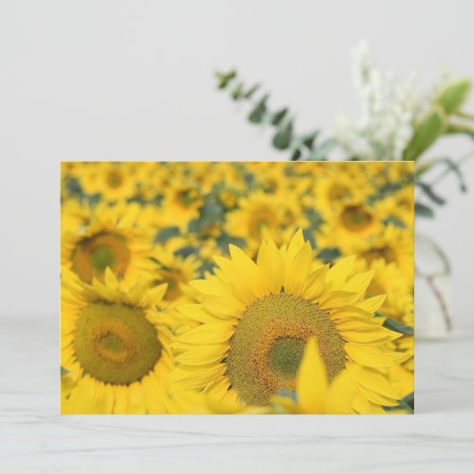 Zonnebloemen Kaart (Staand voorkant)