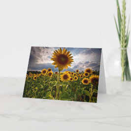 Zonnebloemen Kaart