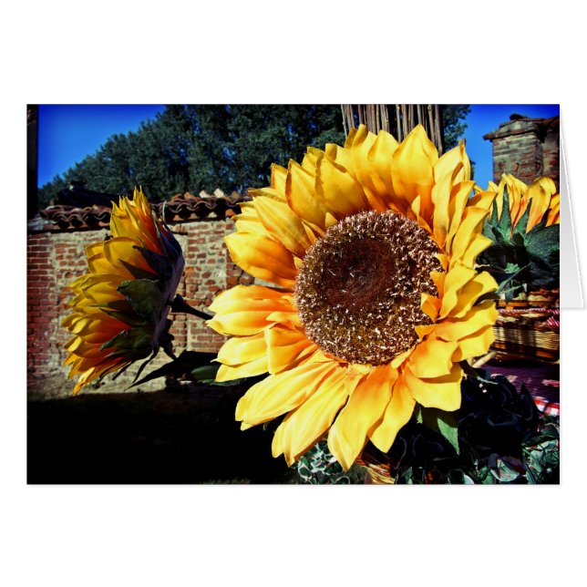Zonnebloemen Kaart (Voorkant Horizontaal)