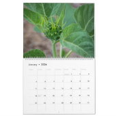 Zonnebloemen Kalender (Jan 2026)