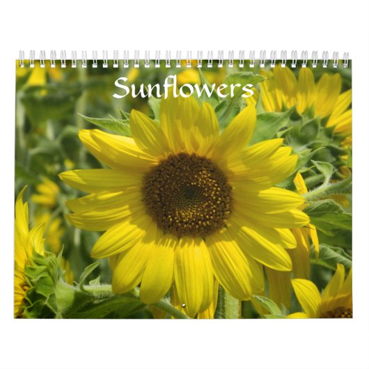 Zonnebloemen Kalender (Hoes)