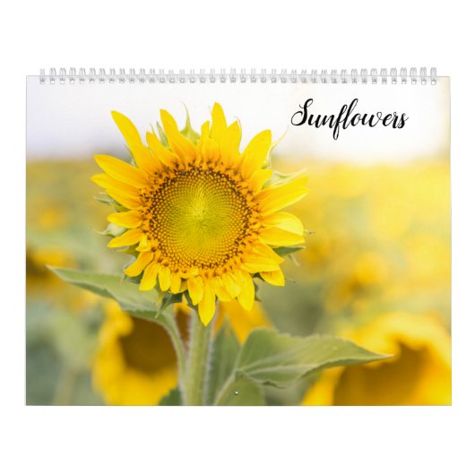 Zonnebloemen Kalender (Hoes)
