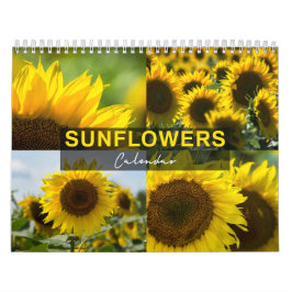 Zonnebloemen Kalender - Fotocollectie