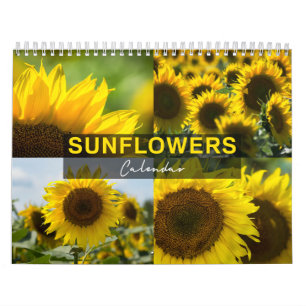 Zonnebloemen Kalender - Fotocollectie