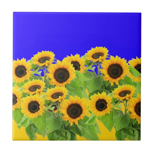 Zonnebloemen Keramische Tegel Oekraïense vlag kleu Tegeltje (Voorkant)