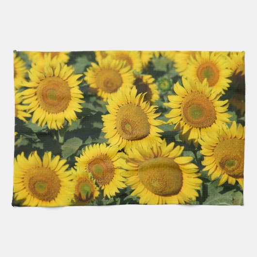Zonnebloemen keukenhanddoek 16 x 24 inch (Horizontaal)