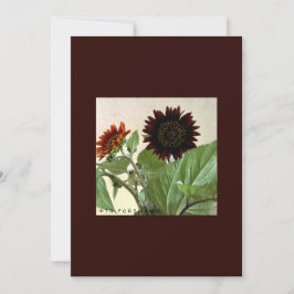 Zonnebloemen, kleine briefkaart, handgeschreven kaart