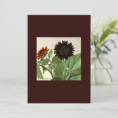 Zonnebloemen, kleine briefkaart, handgeschreven kaart (Staand voorkant)