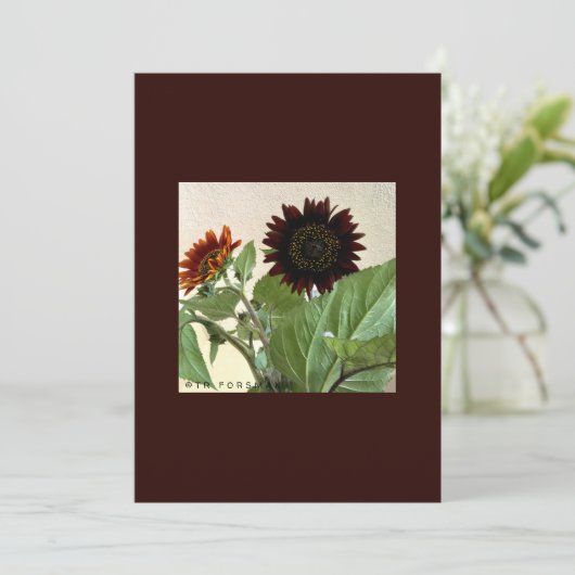 Zonnebloemen, kleine briefkaart, handgeschreven kaart (Staand voorkant)