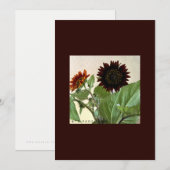 Zonnebloemen, kleine briefkaart, handgeschreven kaart (Voorkant / Achterkant)