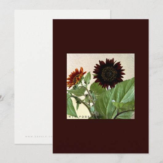 Zonnebloemen, kleine briefkaart, handgeschreven kaart (Voorkant / Achterkant)