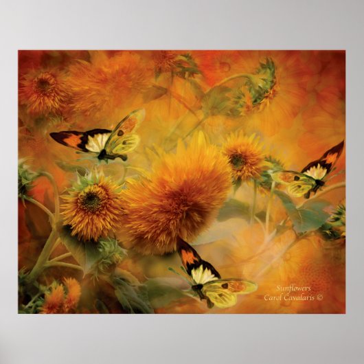 Zonnebloemen Kunst Poster/Afdruk Poster (Voorkant)