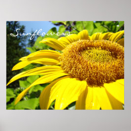 Zonnebloemen kunstprint geschenken Zomer Zon Bloem Poster