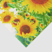 Zonnebloemen Land Geel groen ontpitten Tissuepapier (Detail)