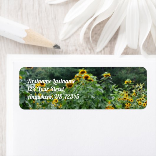 Zonnebloemen langs Stone Wall Orton Effect Address Etiket (Insitu)