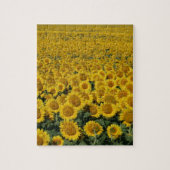 Zonnebloemen Legpuzzel (Verticaal)