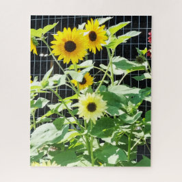 Zonnebloemen Legpuzzel