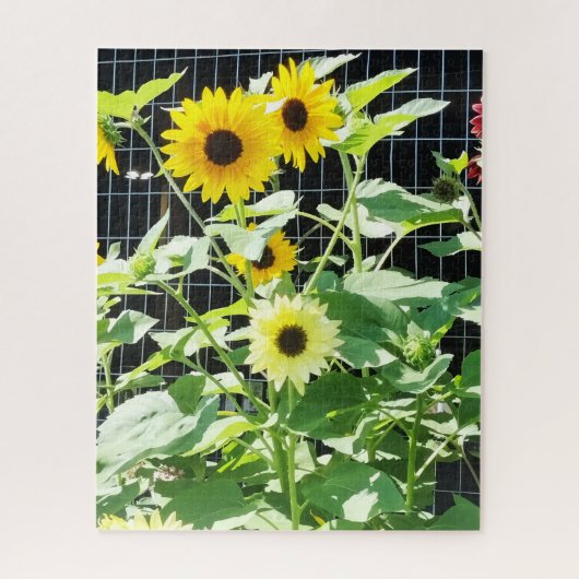 Zonnebloemen Legpuzzel (Verticaal)
