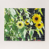 Zonnebloemen Legpuzzel (Horizontaal)