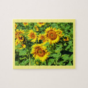 Zonnebloemen Legpuzzel