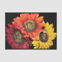 Zonnebloemen Levendige kleuren, rood, Sinaasappel