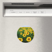 Zonnebloemen Magneet (Insitu (Vaatwasser))