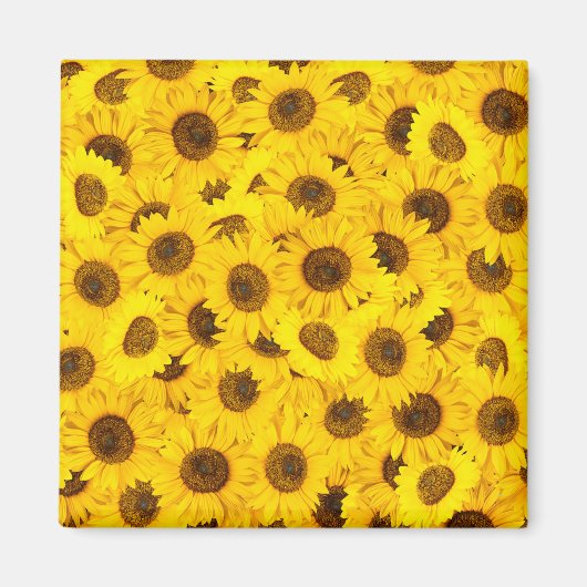 Zonnebloemen Magneet (Voorkant)