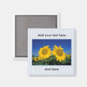 Zonnebloemen Magneet (Voorkant / Achterkant)