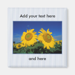 Zonnebloemen Magneet