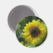 Zonnebloemen Magneet (Voorkant / Achterkant)