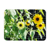 Zonnebloemen Magneet (Horizontaal)
