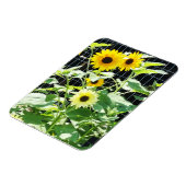 Zonnebloemen Magneet (Linkerzijde)
