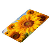 Zonnebloemen Magneet (Linkerzijde)
