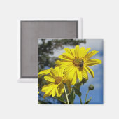 zonnebloemen magneet (Voorkant / Achterkant)