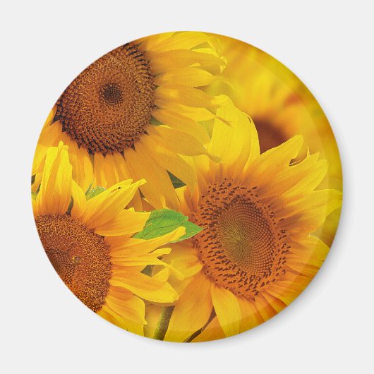 Zonnebloemen Magnet (Voorkant)