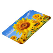 Zonnebloemen Magnet Magneet (Linkerzijde)