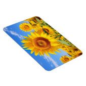 Zonnebloemen Magnet Magneet (Rechterzijde)