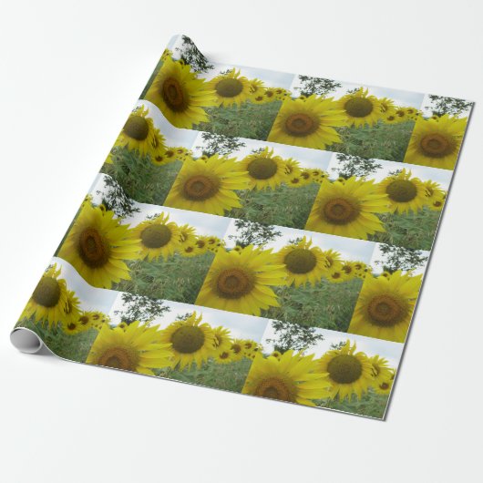 Zonnebloemen mat inpakpapier (Uitgerold)