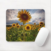 Zonnebloemen Muismat (Met muis)