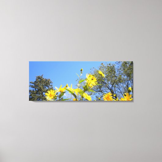 Zonnebloemen N Sky verpakte Canvas Print (Voorkant)