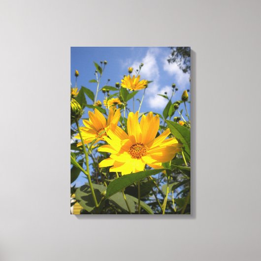 Zonnebloemen N Sky Wrapped Canvas (Voorkant)