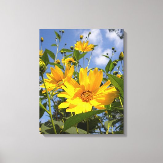 Zonnebloemen N Sky Wrapped Canvas Afdruk (Voorkant)